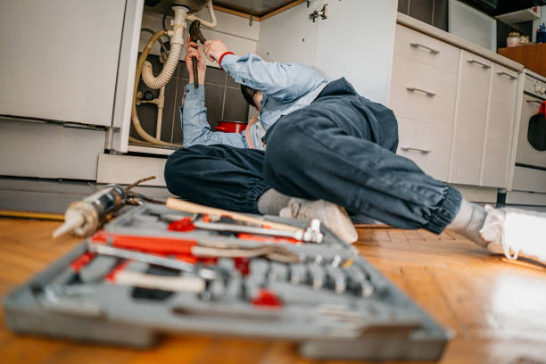 Best Pipe Repair Near Me  in Dunedin, FL